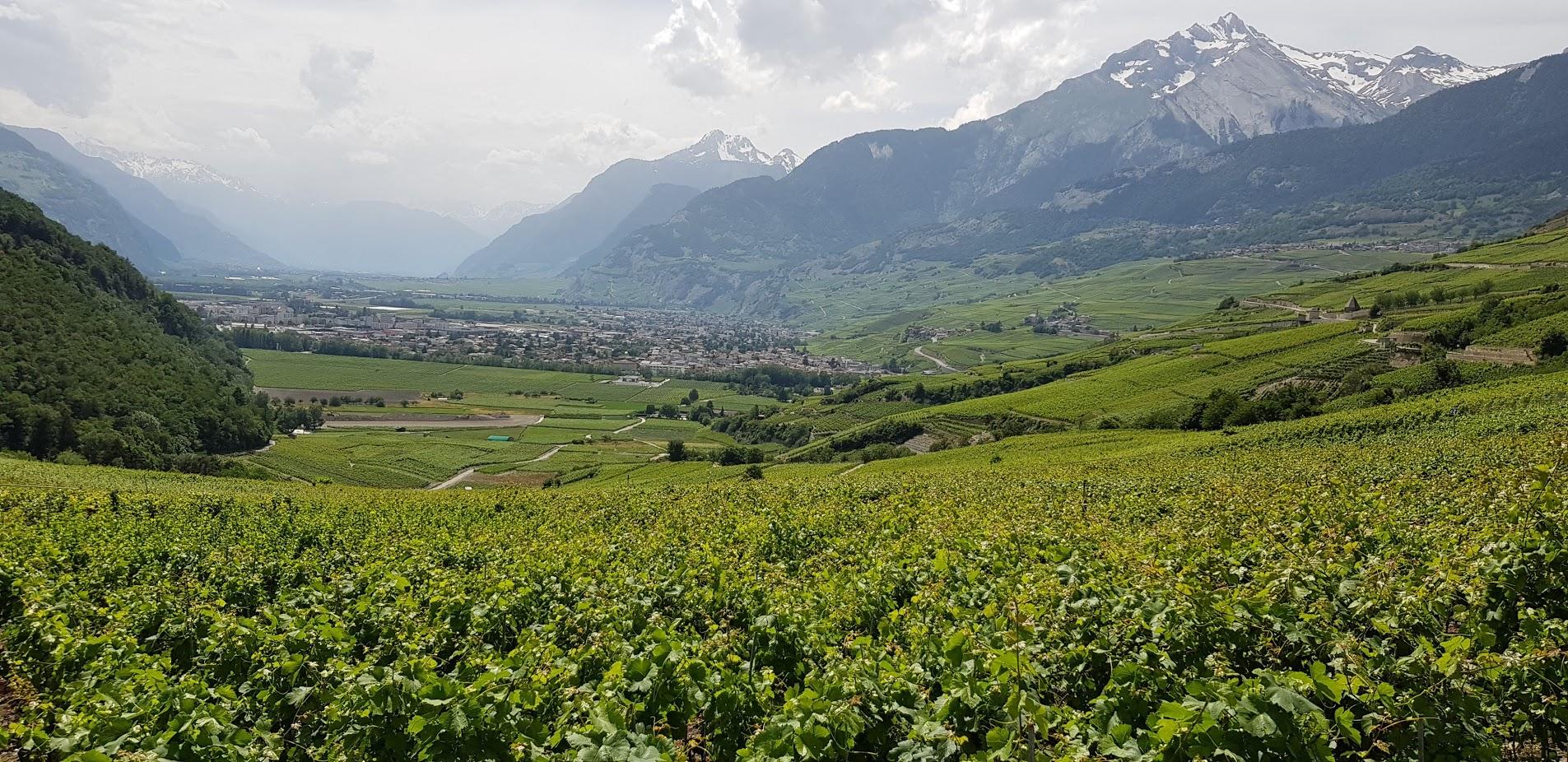 Valais, terre de culture