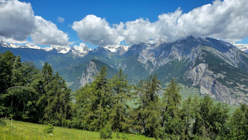 Chalet, 2.0 pièces, 42.67 m2